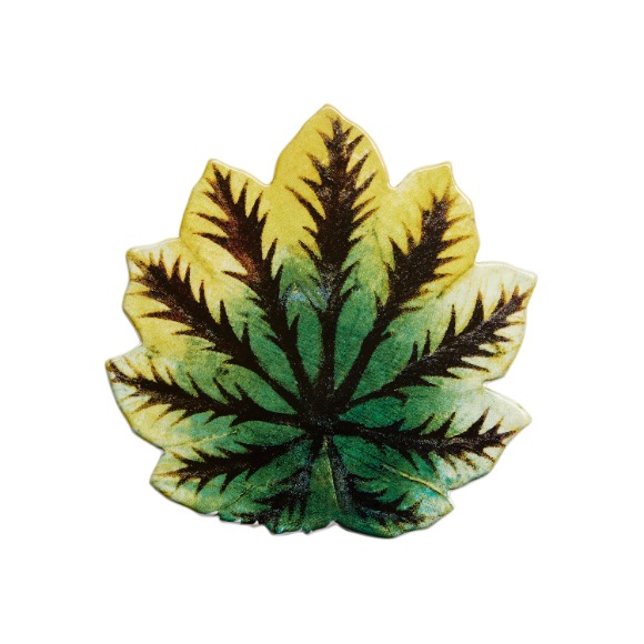 [John Derian] Leaf Platter
