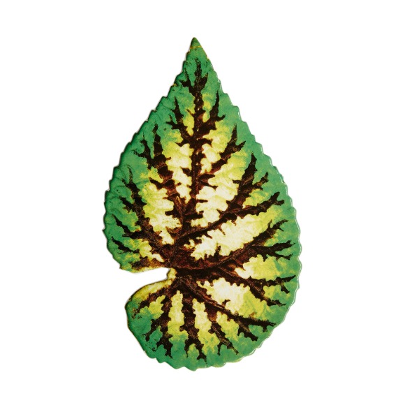 [John Derian] Leaf Platter